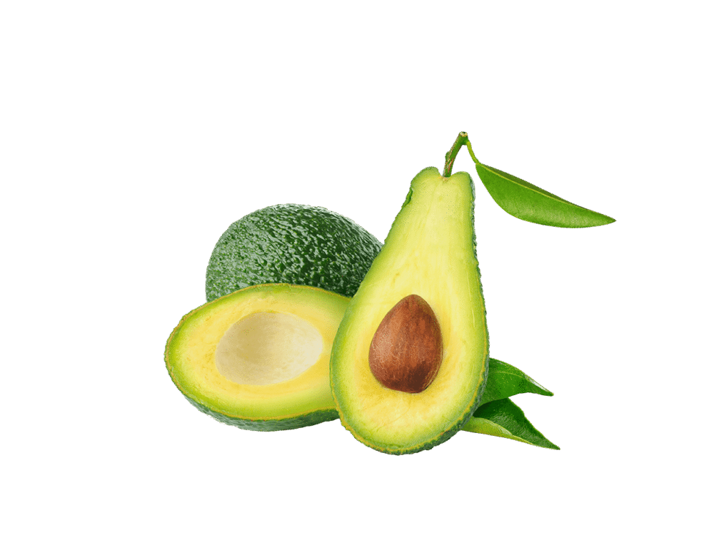 Organic Avocado