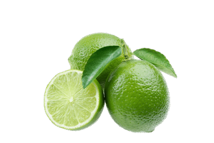 h3-product12 h3-product12