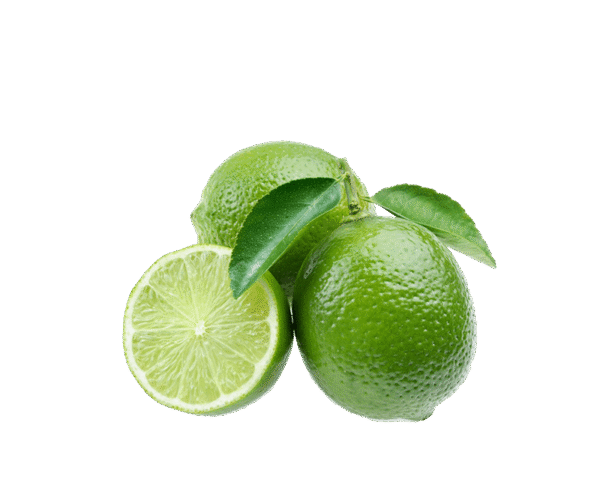 h3-product12 h3-product12