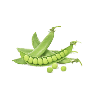 h3-product7 h3-product7