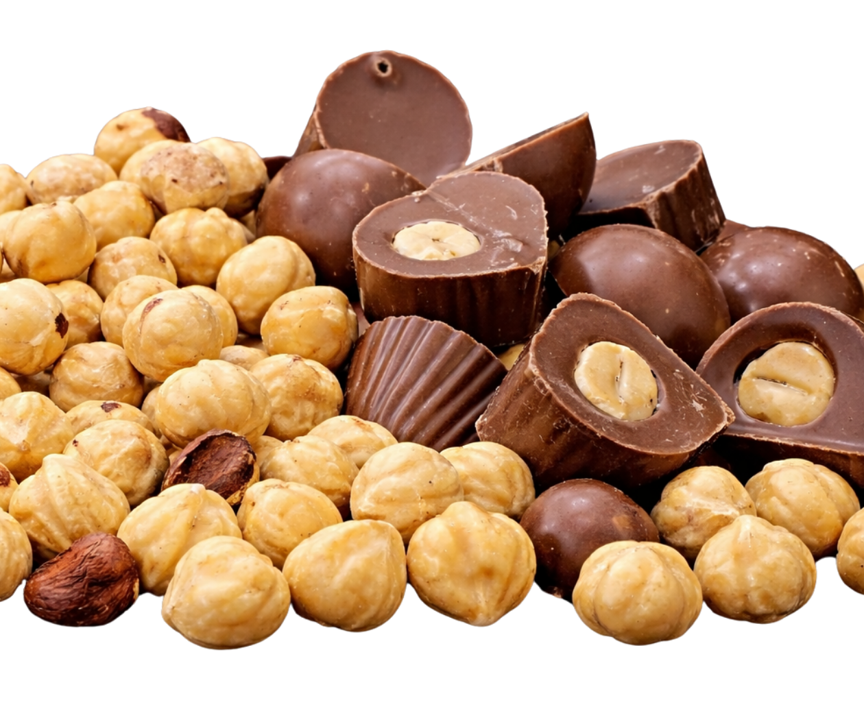 Milk Chocolate Hazelnut Fillings with Hazelnut Centre