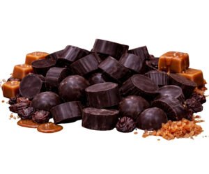 Dark Chocolate with Coconut Caramel Fillings
