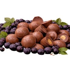 Chocolate candies with black currants and mint