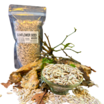 Sunflower seeds