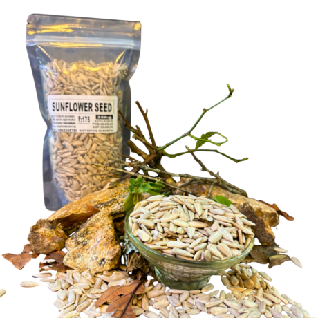 Sunflower seeds