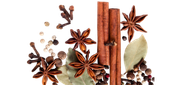Home page Spices
